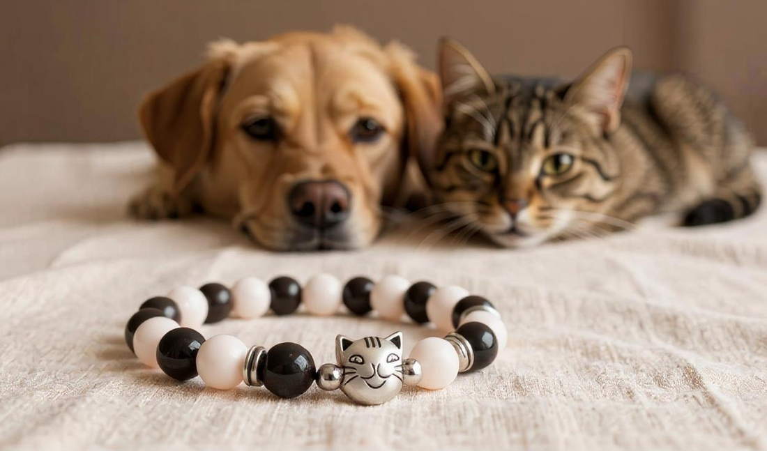 How One Bracelet Can Help Homeless Animals