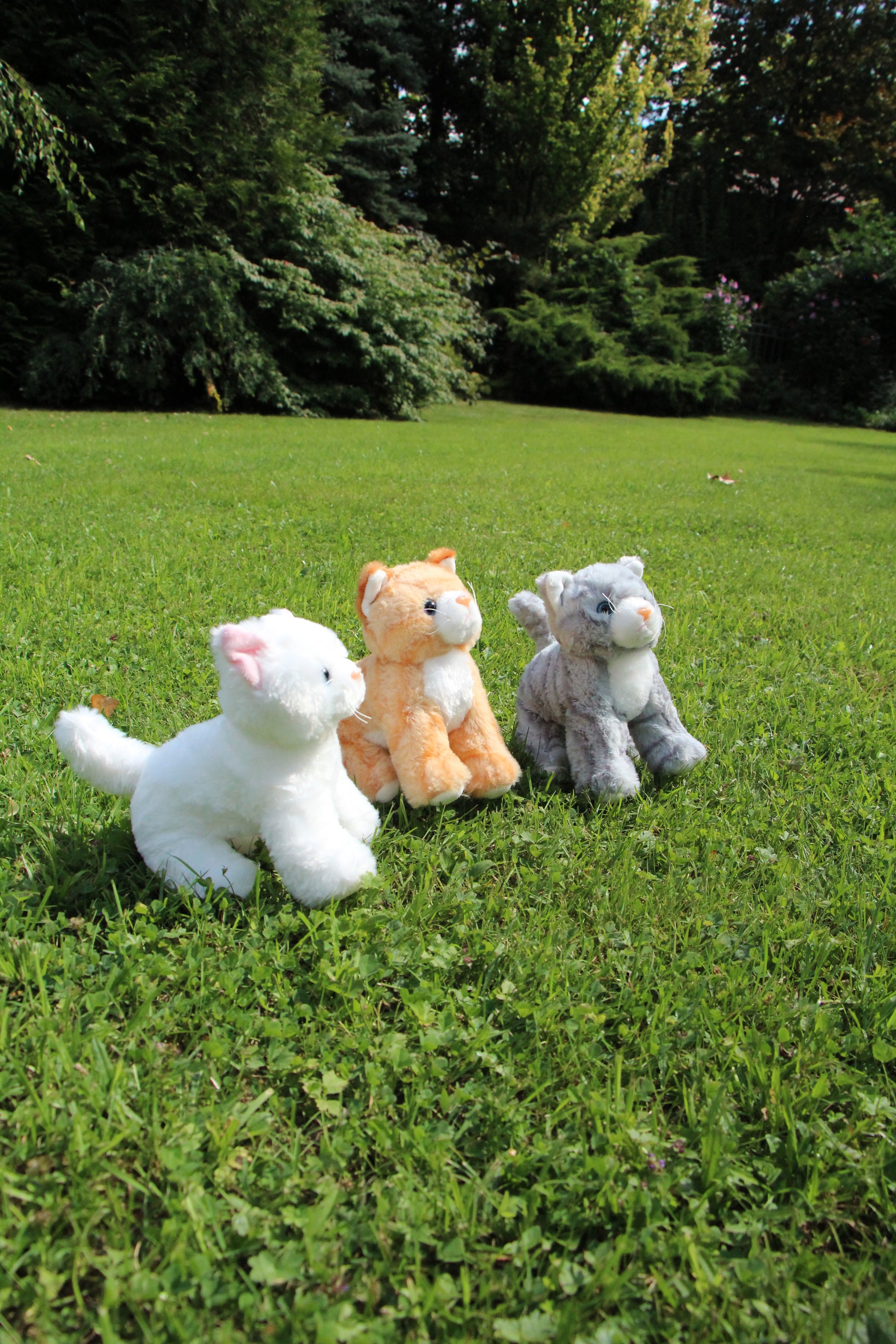 Cat Plushie