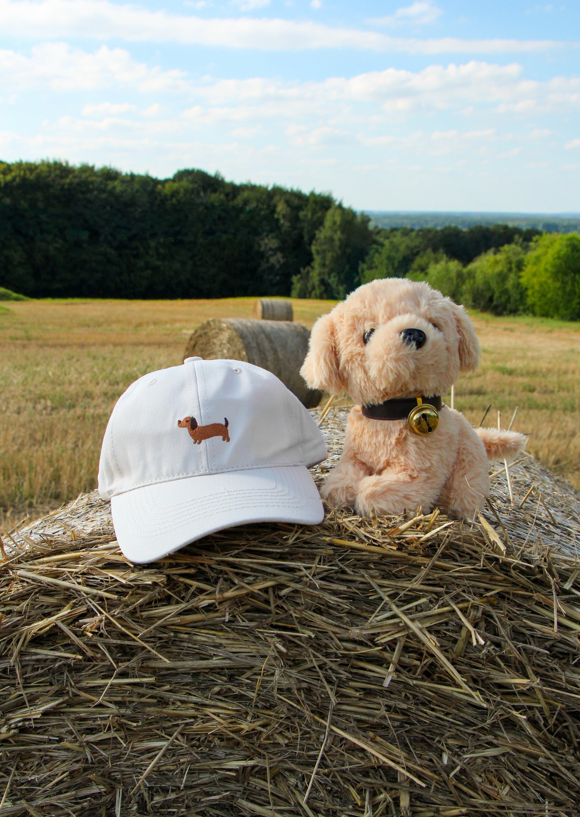 Best Buddy Cap
