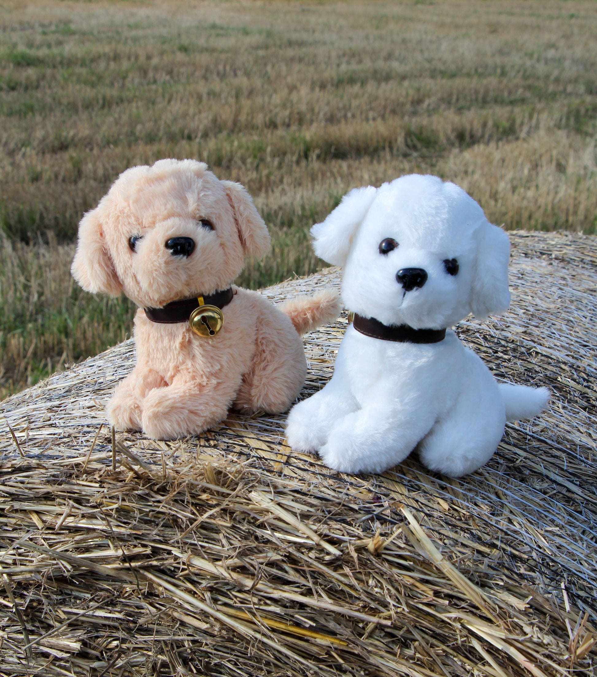 Dog Plushie