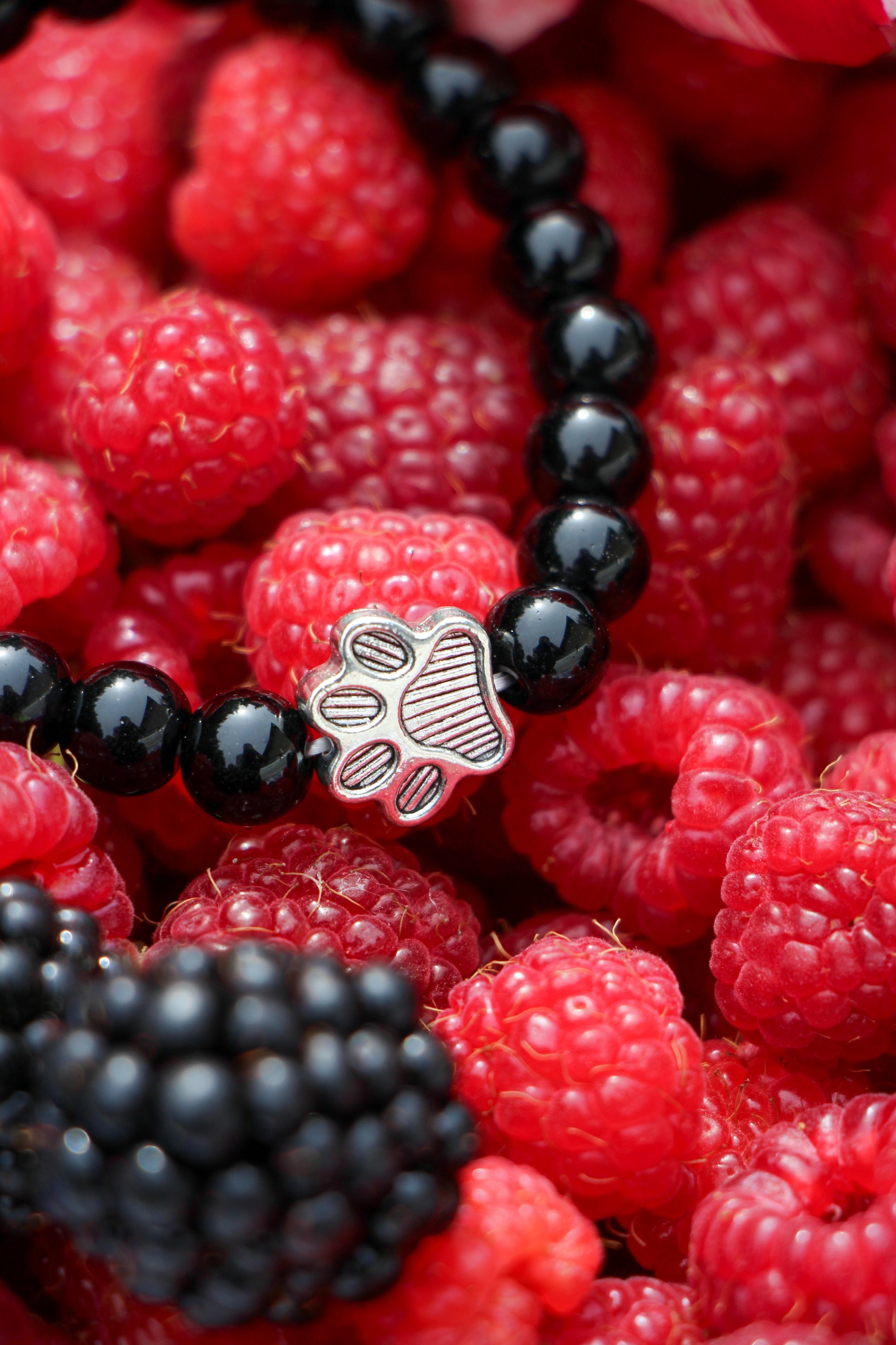 Paw of Hope Bracelet